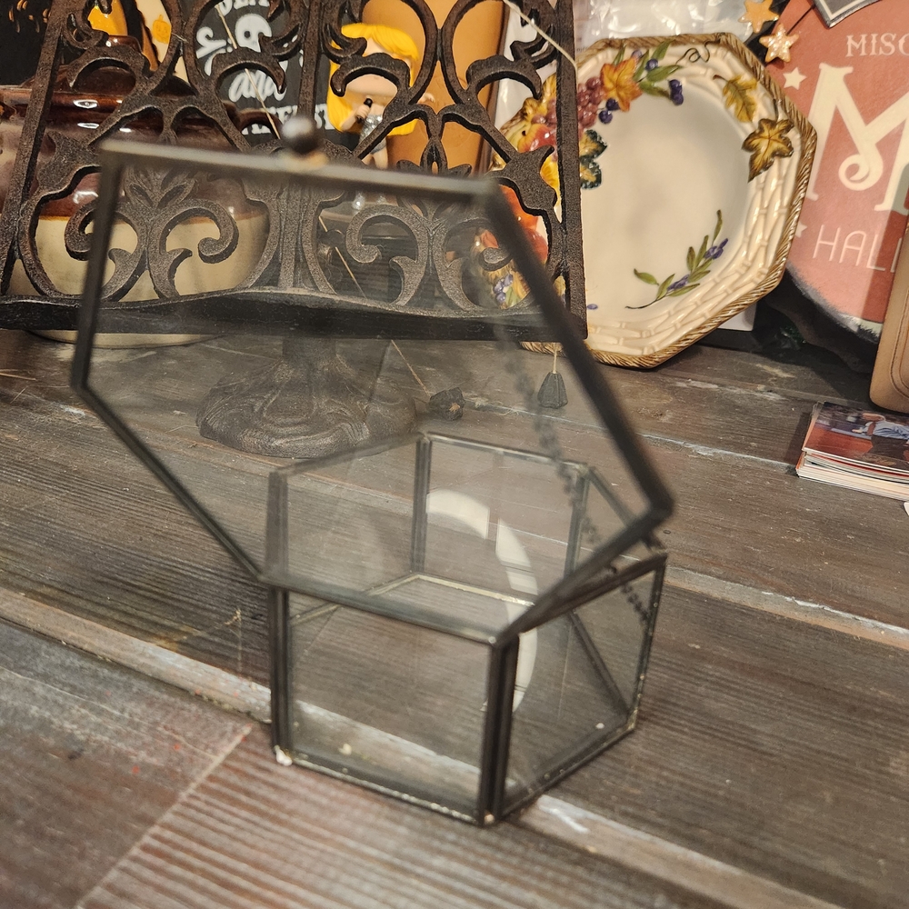 Hexagonal Glass Terrarium with Black Frame - Picture 3 of 4